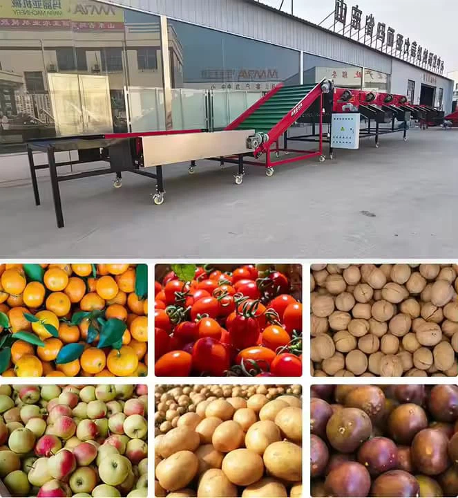 Автоматична цибулева оцінка сортування машини Автомобільна промислова цибуля Сортувальні машини Сортери Машини Дешева ціна на продаж