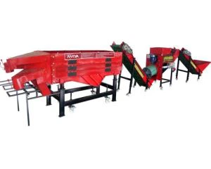 Черемовий розбитий клапан