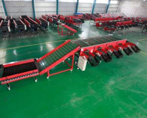 Середній часник Сортувальник